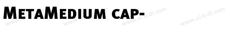 MetaMedium cap字体转换